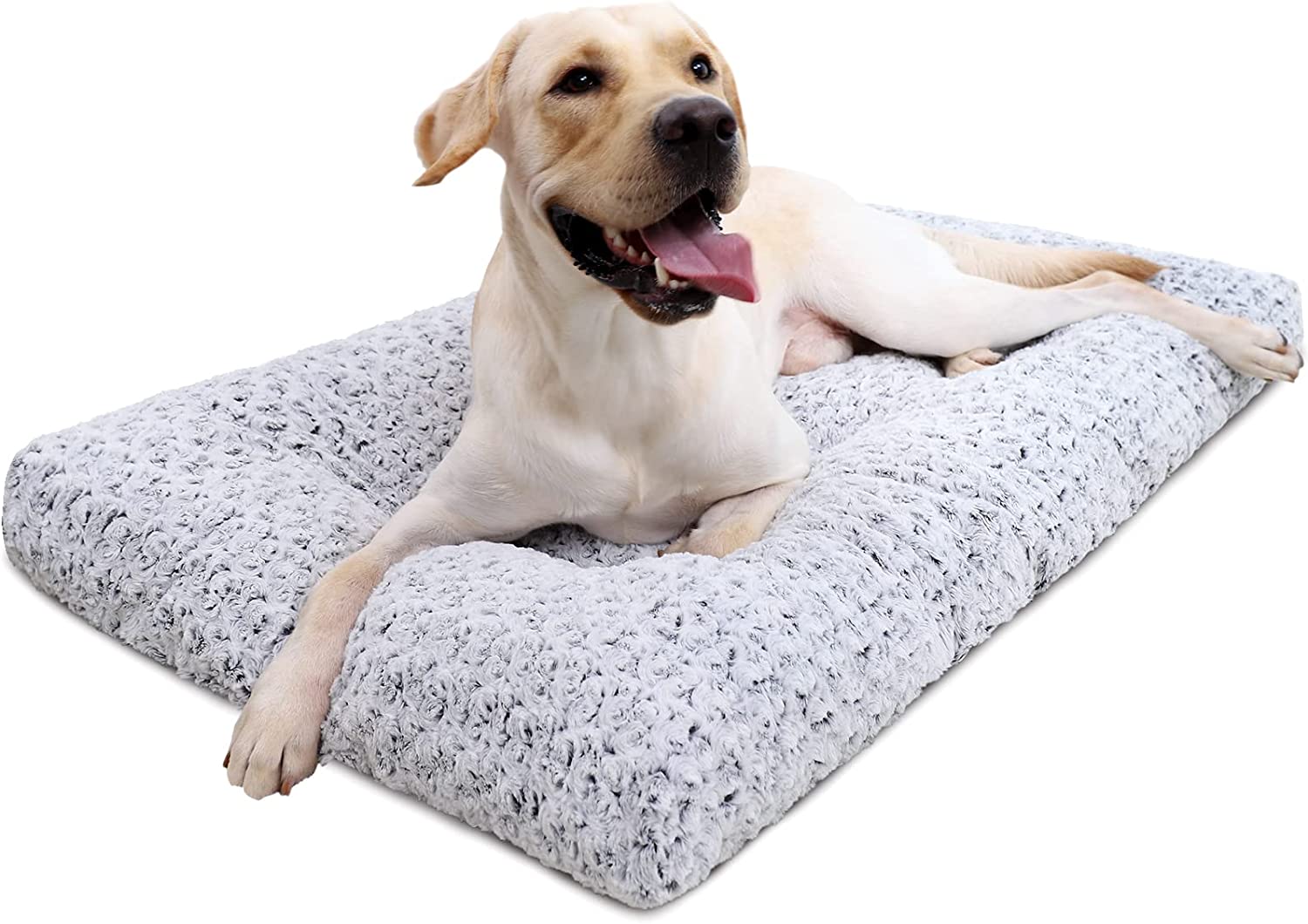 cama lavable para perro